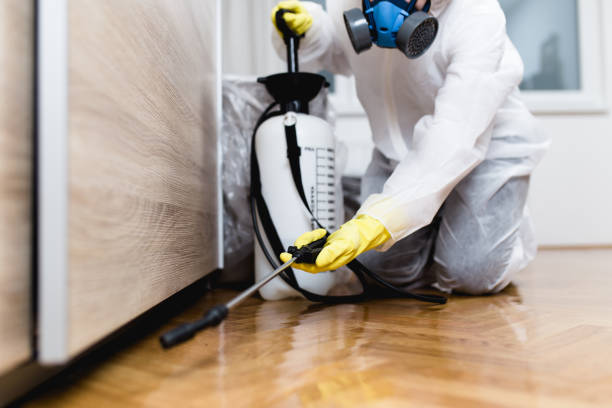 Wasp Removal Services in Middleville, MI