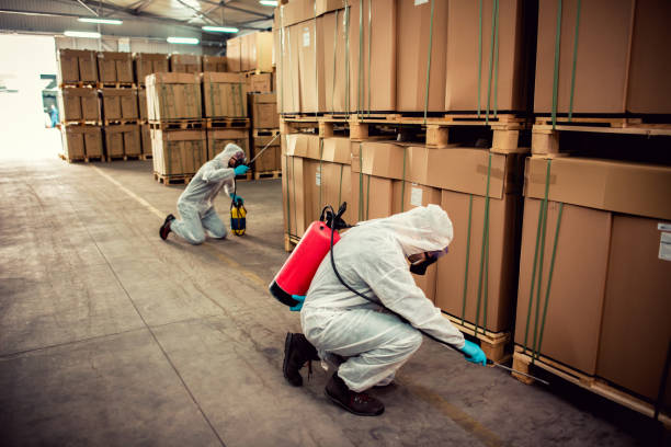Best Ant Control Services  in Ddleville, MI