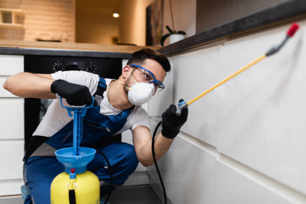 Best Ant Control Services  in Ddleville, MI