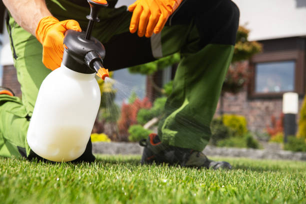 Best Spider Control Near Me  in Ddleville, MI