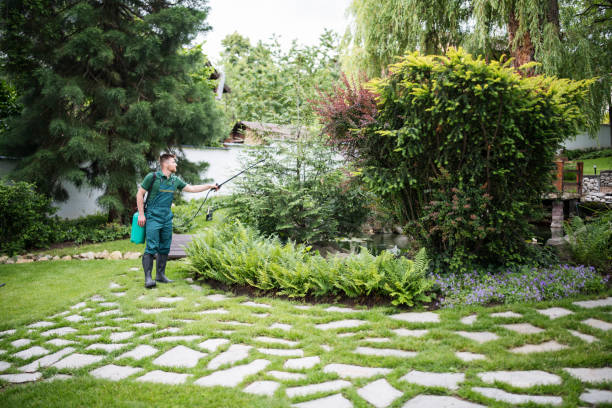 Best Cockroach Control Services  in Ddleville, MI