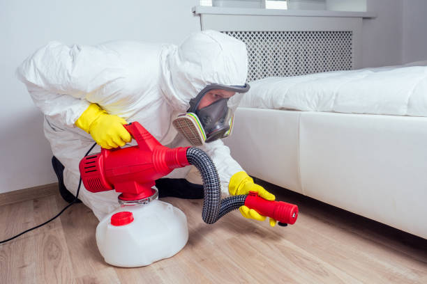 Best Local Pest Control Services  in Ddleville, MI