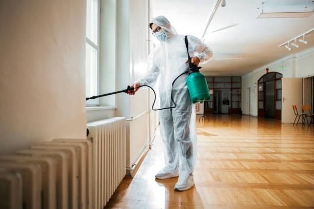 Best Mosquito Control Services  in Ddleville, MI
