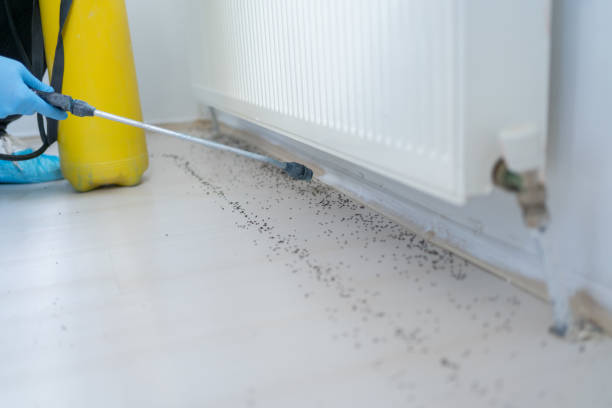 Best Best Pest Control Companies  in Ddleville, MI