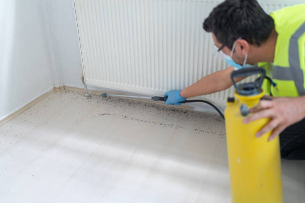 Best Insect Control  in Ddleville, MI